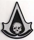 VG - Assassins Creed